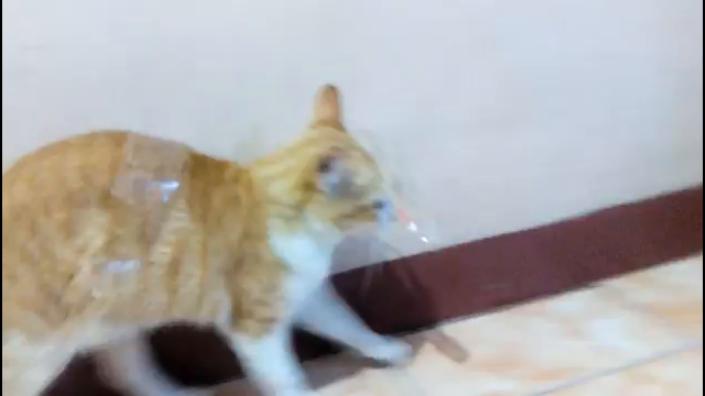 thumb-video