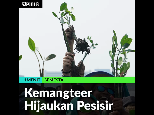thumb-video