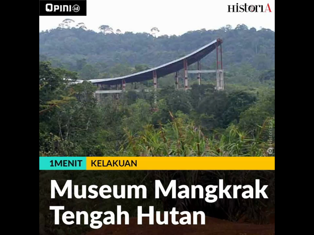 thumb-video