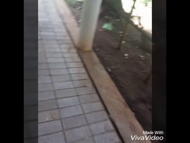 thumb-video