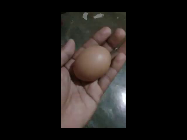thumb-video