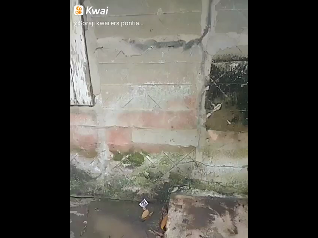 thumb-video