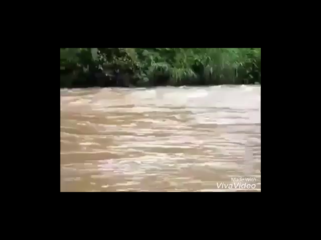 thumb-video